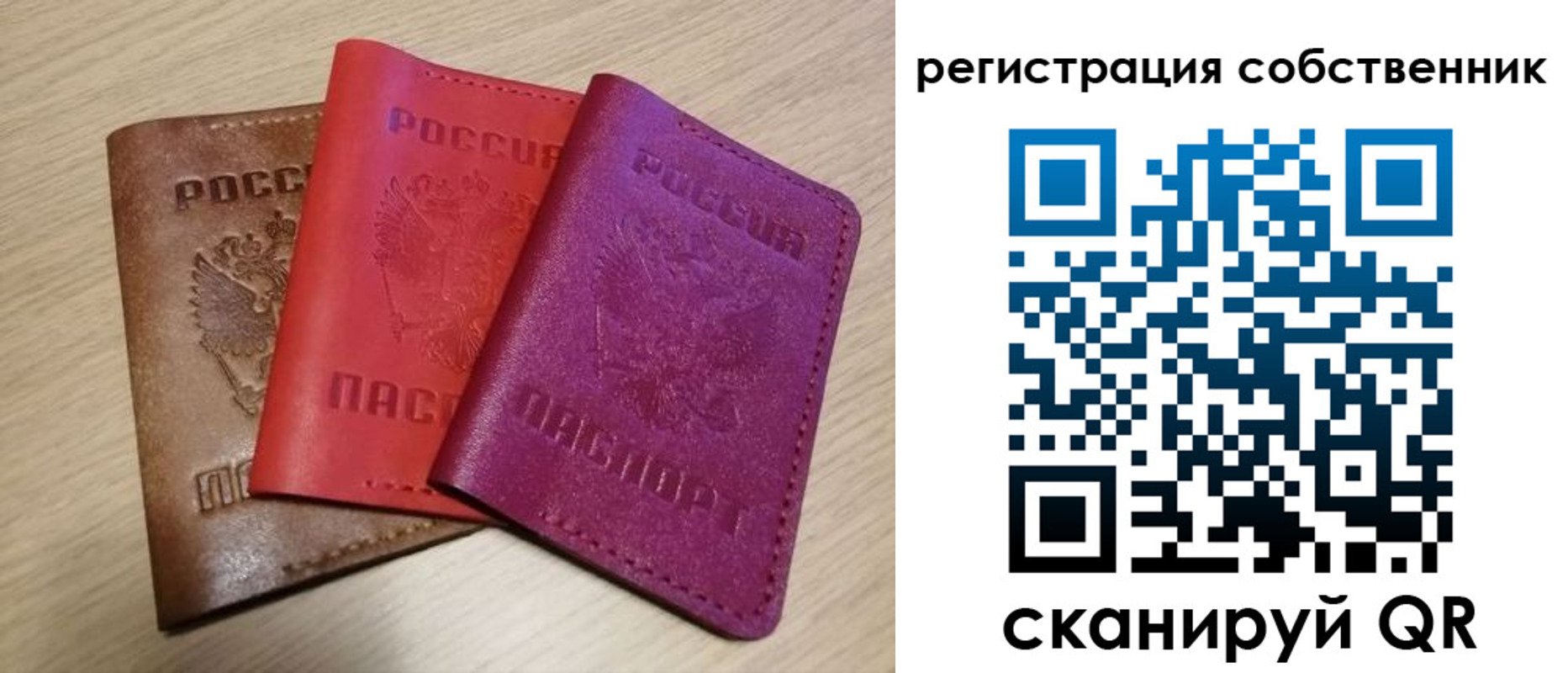 прописка для школы в Архангельской области